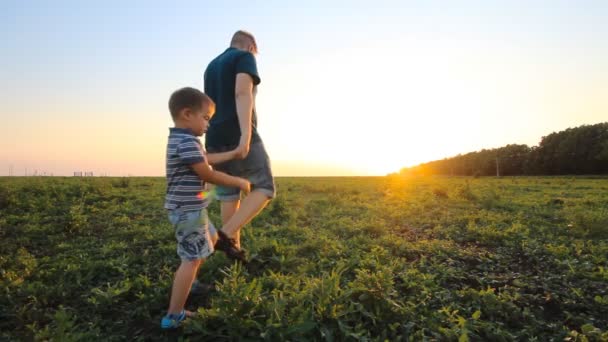 Jonge jongen lopen met zijn vader in een gras veld ins slowmotion — Stockvideo