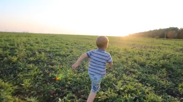Мальчик бежит через холм в медленном темпе — стоковое видео