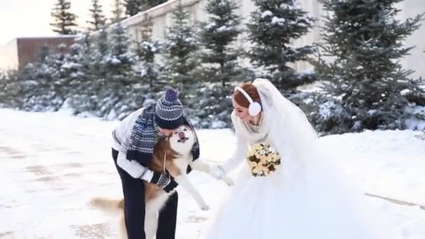 Mariage couple hiver marche — Video