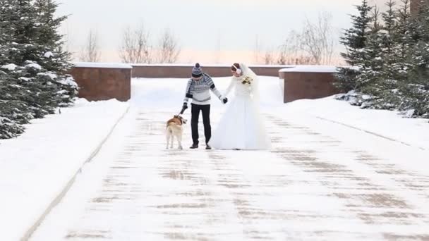 Wedding couple winter walking — Stock Video