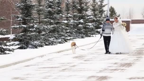 웨딩 커플 겨울 산책 — 비디오