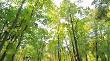 Parkta yürüyüşe Düğün çifti.