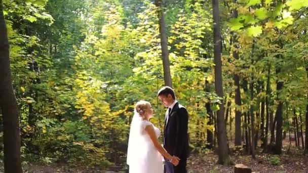 Mariée et marié baisers dans la forêt — Video