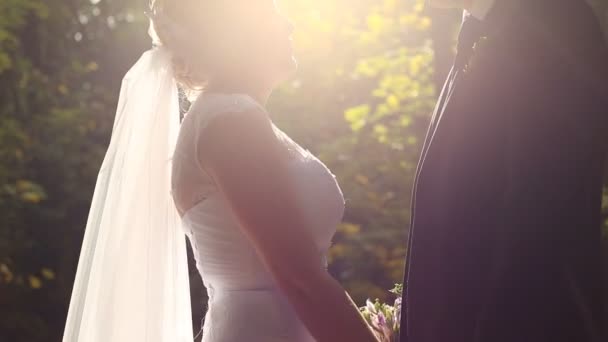 Bruid en bruidegom kussen in het forest — Stockvideo