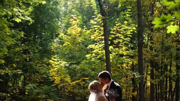 Sposa e sposo baci nella foresta — Video Stock