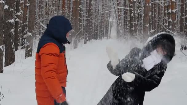 Coppia nel parco in inverno getta neve al rallentatore — Video Stock