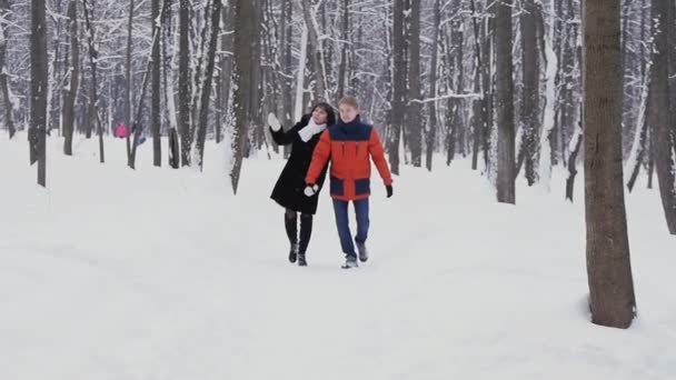 スローモーションで冬の森で散歩を持っている流行に敏感な若いカップル — ストック動画