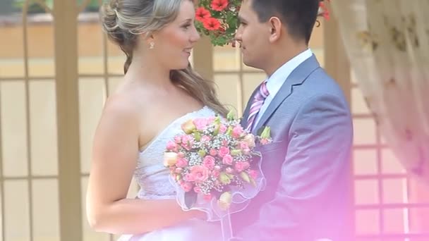 Sposa e sposo abbracciare — Video Stock