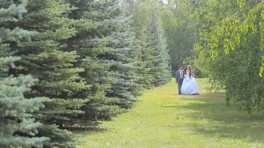 Genç Düğün çifti birlikte parkta yürüyüş.