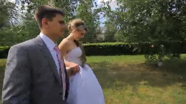 Молода весільна пара ходить разом у парку . — стокове відео