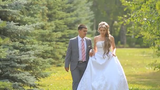 Joven pareja de boda caminando juntos en el parque . — Vídeos de Stock