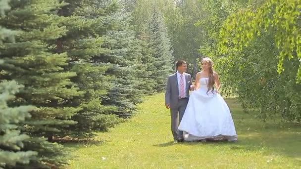 Joven pareja de boda caminando juntos en el parque . — Vídeos de Stock