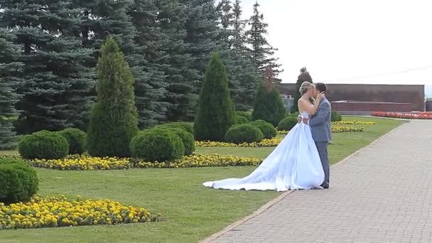 Свадебный снимок жениха и невесты в парке — стоковое видео