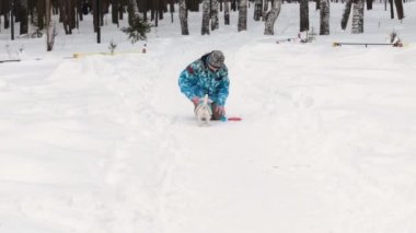 Köpek oyuncak alma