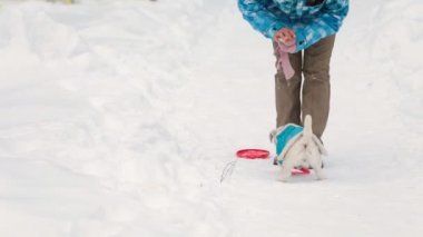 Köpek oyuncak alma