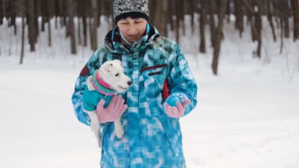 Hund holt Spielzeug — Stockvideo