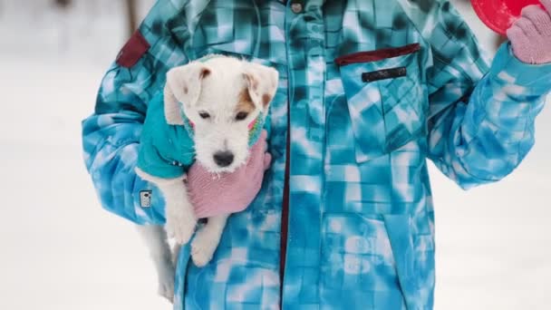 Chien récupérant un jouet — Video