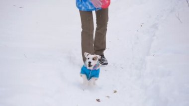 Köpek oyuncak alma