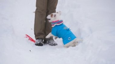 Köpek oyuncak alma