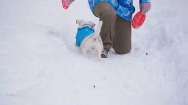 Köpek oyuncak alma