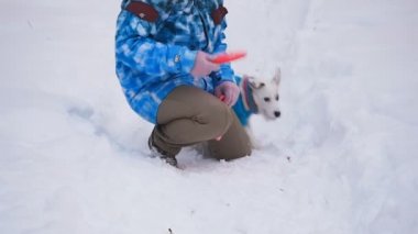 Köpek oyuncak alma
