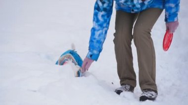 Köpek oyuncak alma