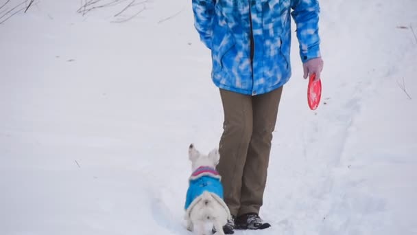 Chien récupérant un jouet — Video