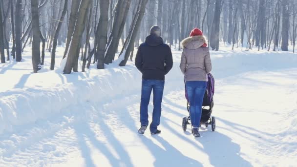 Feliz familia joven caminando en el parque en invierno — Vídeo de stock