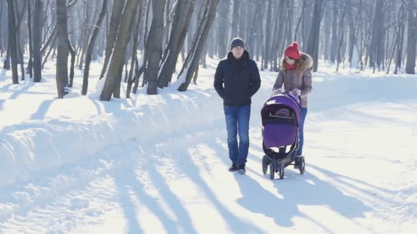 Feliz familia joven caminando en el parque en invierno — Vídeos de Stock