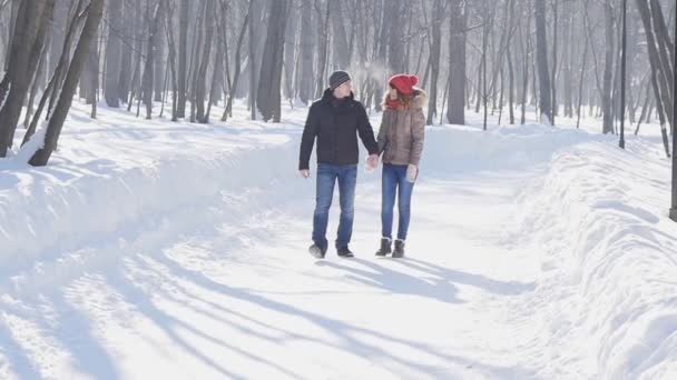 Casal segurando as mãos um do outro, o inverno vai na estrada — Vídeo de Stock