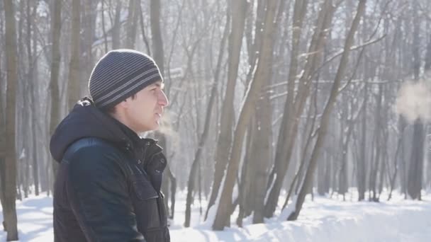 幸福的年轻夫妇，在冬季公园，慢动作 — 图库视频影像