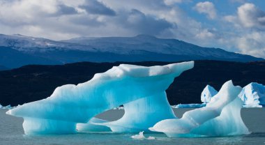 Types of glaciers and icebergs,Argentina clipart