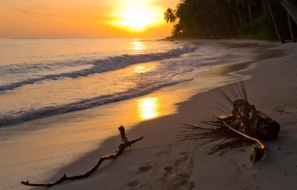 Пляж тропического острова — стоковое фото