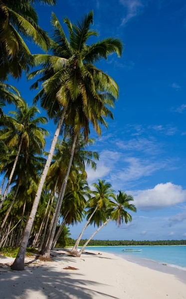 Der Strand einer tropischen Insel — Stockfoto