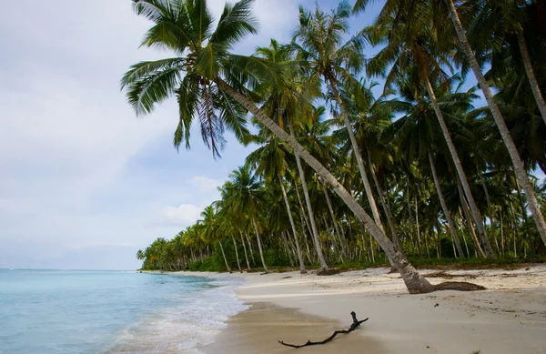 The beach of a tropical island — Stock Photo, Image