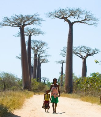 Kızlar sokak baobabs ile gitmek