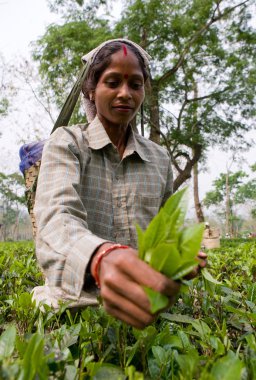 Hintli kadın gülümsüyor
