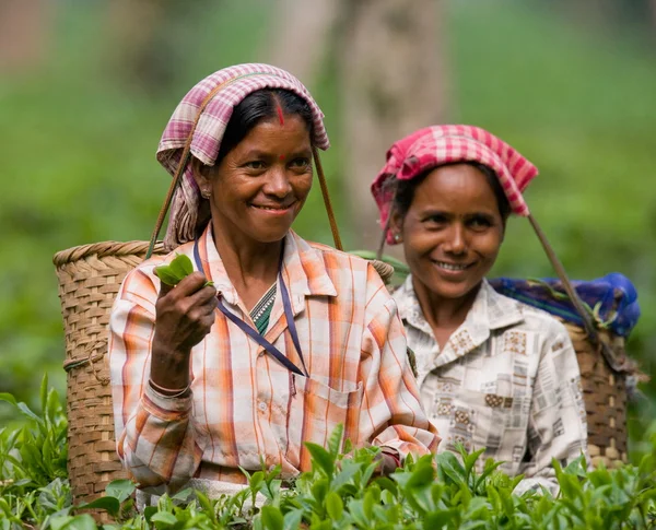 Femmes indiennes souriantes — Photo