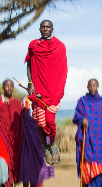 Masai savaşçıları geleneksel atlar — Stok fotoğraf