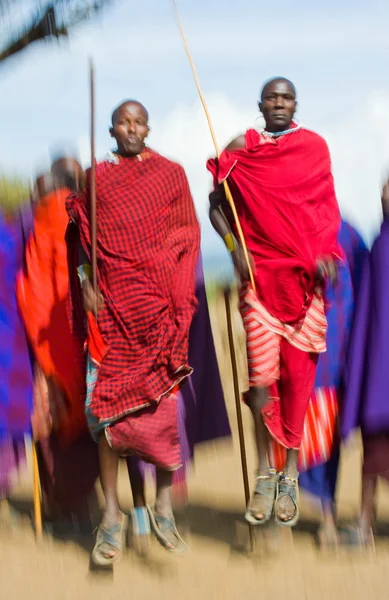 Masai warriors traditional jumps — Stock Photo, Image