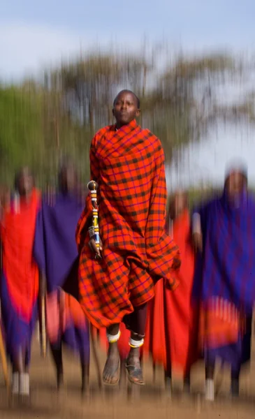 Masai warriors traditional jumps — Stock Photo, Image