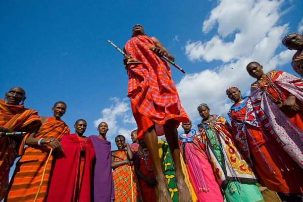 Masai warriors traditional jumps — Stock Photo, Image