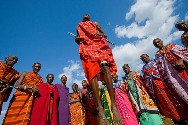 Masai guerreros saltos tradicionales —  Fotos de Stock