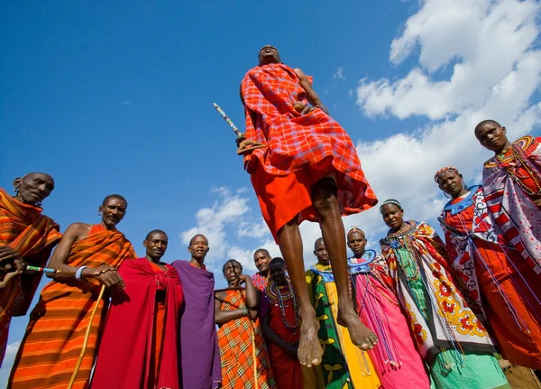 Masai guerreros saltos tradicionales — Foto de Stock