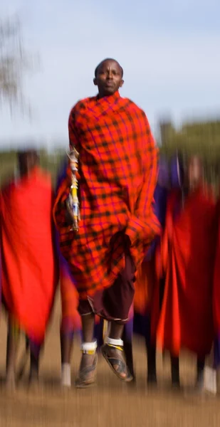 Masai guerreiros saltos tradicionais — Fotografia de Stock