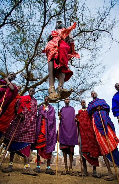 Masai savaşçıları geleneksel atlar — Stok fotoğraf