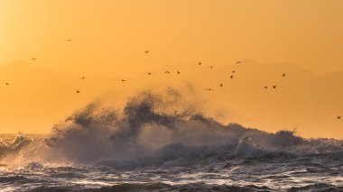 Dalgalar çökmesini üzerinde kayalık deniz kıyısı