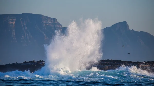 Large wave crashing on rocky seashore — Stock Fotó