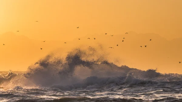Hullámok összeomlik, a sziklás tengerpart — Stock Fotó
