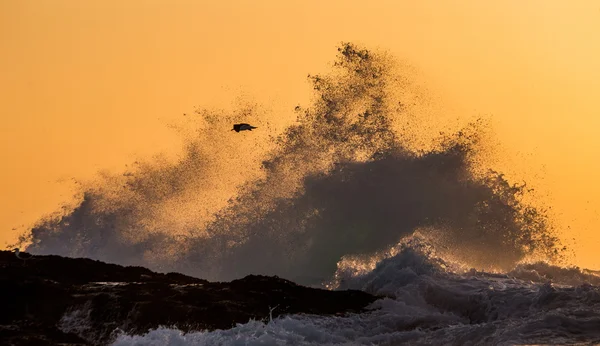 파도 바위 해변에 충돌 — 스톡 사진